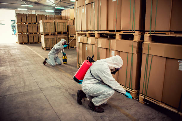 Best Local Pest Control Services  in Hays, KS