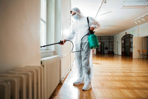 Best Termite Control Services  in Hays, KS
