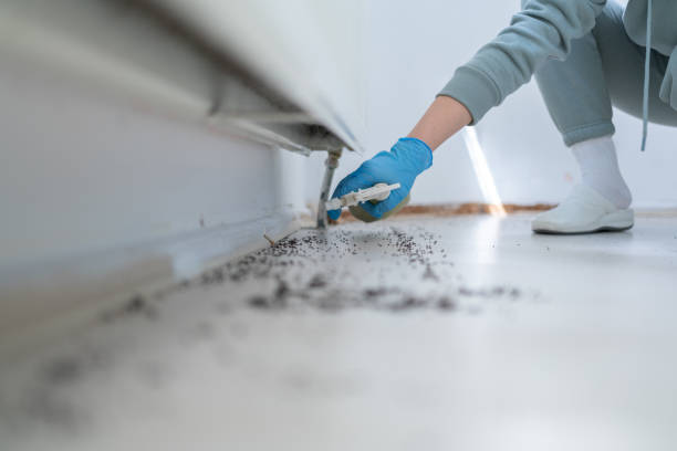 Best Wildlife Control Services  in Hays, KS